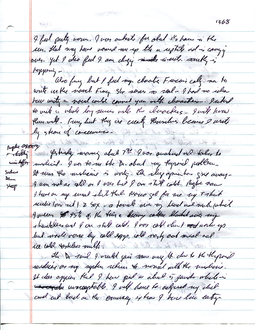 Dr John WorldPeace 2008 Prison Journal